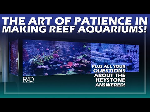 IT TAKES PATIENCE TO MAKE A  SUCCESSFUL AQUARIUM, TAKE YOUR TIME! A MESSAGE BY REEF AQUARIA DESIGN.