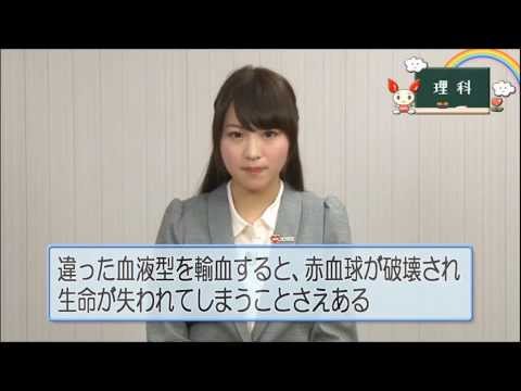 【東海北陸ブロック血液センター】「通信講座　健康なカラダづくりと血液の役割を知ろう！」vol.2