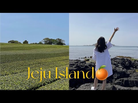 (sub) family trip to the Jeju Island✈️ | what i eat in a week in Jeju!🌴