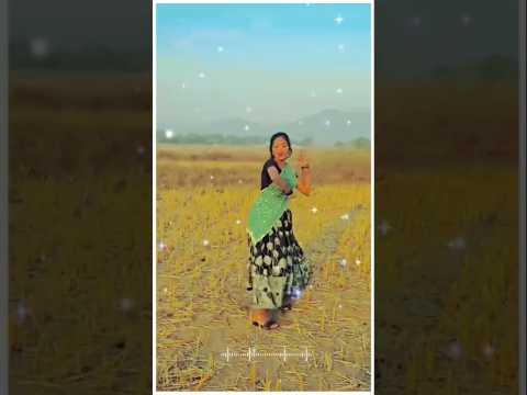 Gaja Mug Tor Boli #cgnewsong #cgsong #cgshorts #chhattisgarhi