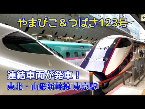 やまびこ＆つばさ123号　連結車両が発車する！東北・山形新幹線 東京駅　Yamabiko & Tsubasa Tohoku/Yamagata Shinkansen Tokyo Station