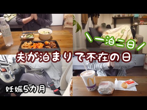 【アラサー専業主婦の日常vlog】夫が泊まりで不在の日のズボラ主婦の様子 | 家事はひと休み | 朝マック | 妊娠５か月【初マタ】