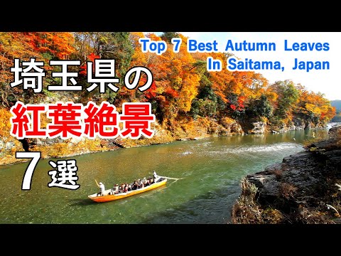 Top 7 best autumn leaves in Saitama, Japan / Nakatsukyo, Nagatoro, Lake Sayama, Lake Kamakita, etc.