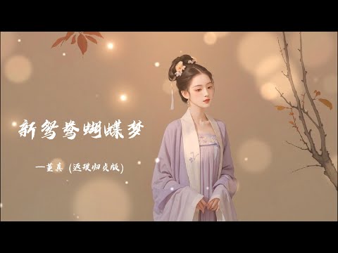 董真   ——新鸳鸯蝴蝶梦 （返璞归贞版） 多了一份自由自在的懒散与欢快和天真 #翻唱 #中国音乐 #董真 #音樂