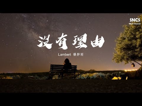 Lambert 楊胖雨 - 沒有理由 | 抖音完整版 | 高音質動態歌詞