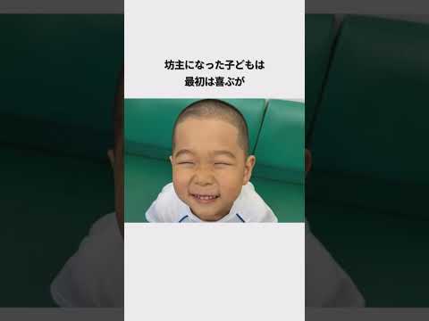 子供の坊主に関する雑学#子育てあるある #赤ちゃん#坊主頭