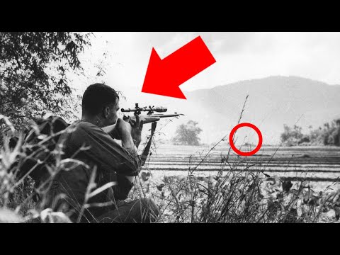 The Deadliest Marine Sniper No One Ever Suspected