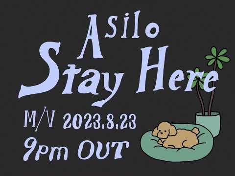 Asilo - "Stay Here" M/V Teaser