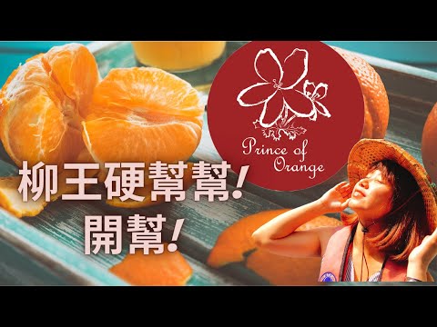 柳王開幫!台北在地吃播  當地蛋糕店財務長狂吃神秘特製魚丸麵！至尊廢：我的最愛