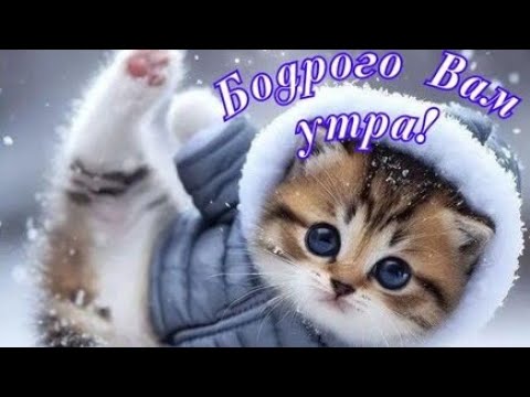 Доброго и бодрого зимнего утра!!! ❄❄⛄