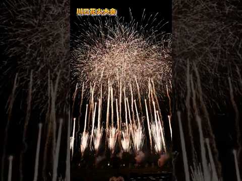 川口花火大会。凄すぎるラスト部分！！埼玉県川口市 #shorts #花火大会 #fireworks