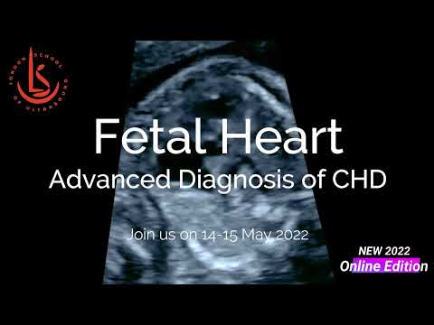 Fetal Heart: Advanced Diagnosis of CHD. Online Course & Masterclass 14-15 May 2022