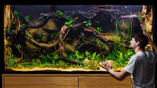 It Took 2 Years to Build This Massive Jungle Aquarium