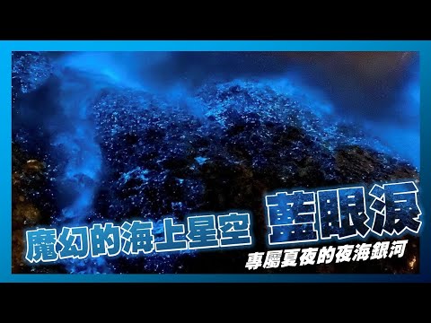 魔幻的海上星空#藍眼淚｜專屬夏夜的夜海銀河｜葉生活EP.01