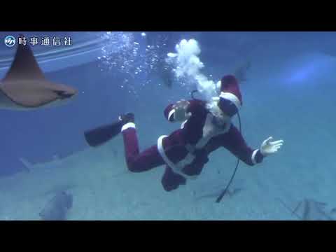 水族館で「メリークリスマス」＝大阪･海遊館