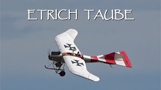 Historic R/C model "Etrich Taube" / scale 1:4,2