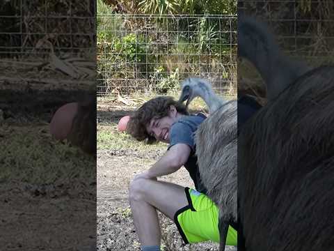 Danny Duncan Gets Bit By His Emu