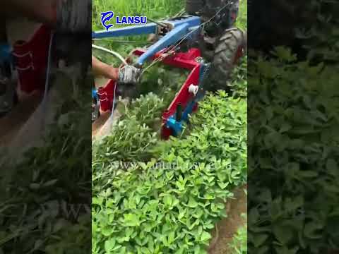 Walking tractor with Peanut or potato harvester