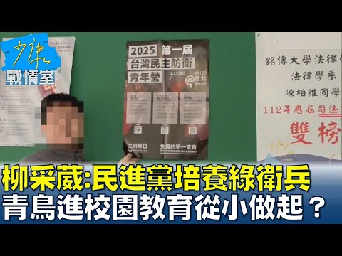 柳采葳：民進黨培養綠衛兵 青鳥飛進校園"洗腦教育"從小做起？少康戰情室 20241225