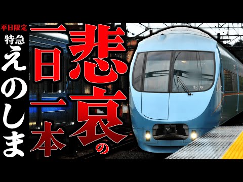 【解説】江ノ島線特急えのしま号の本数はなぜここまで少ないのか