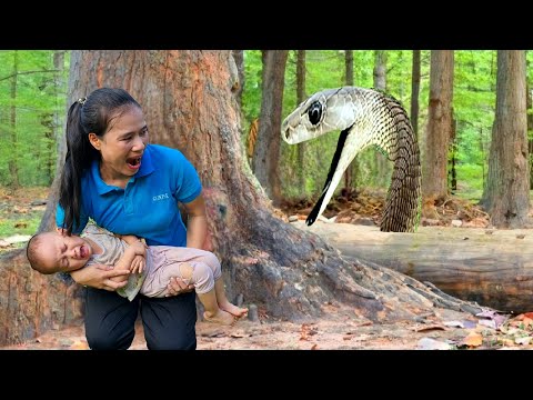 Gardening Vegetables - Cooking - Panicked When Seeing Snake In The House