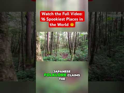 🇯🇵 Unveiling the Secrets of Aokigahara Forest in Japan | Scary Places to Visit