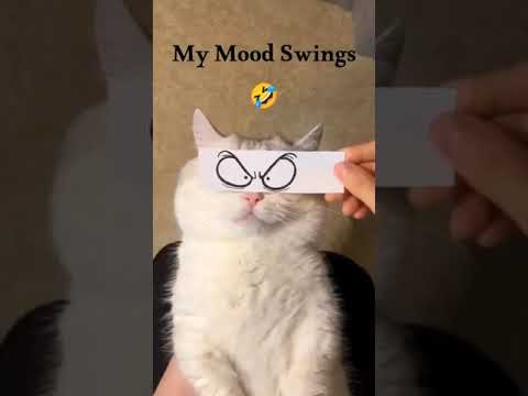 My Mood Swings | A Funny Video You Can’t Miss!