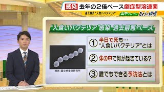 『人食いバクテリア』の実態は『人食わせバクテリア』ってどういうこと？致死率３０％前後..城戸康年教授に聞いた最新情報わかりやすく解説「この病気だけをことさらに怖がる必要はない」（2024年6月11日）