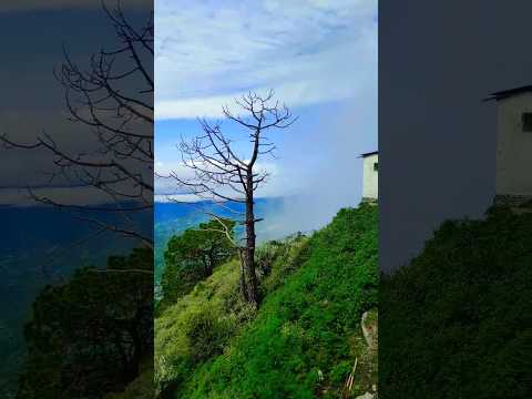 🌫Clouds Meet🍃 Mountain🗻 #nature #travel #mountains #india #jammu #jaimatadi #sky #matavaishnodevi