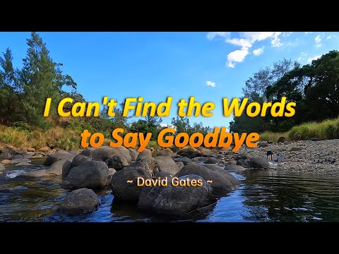 I CAN'T FIND THE WORDS TO SAY GOODBYE - (4k HDR Karaoke Version) - in the style of David Gates