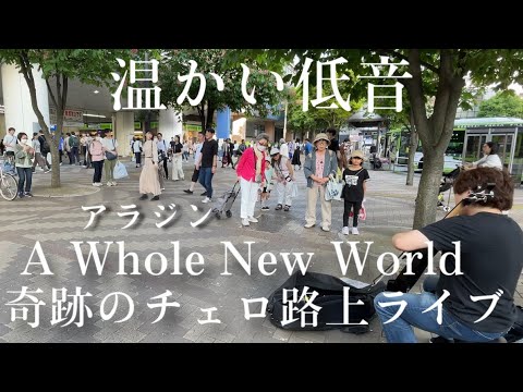 急にプロのチェロ奏者がアラジン“A Whole New World”を弾いたらだんだん人が集まってきて...【ストリートチェロ】