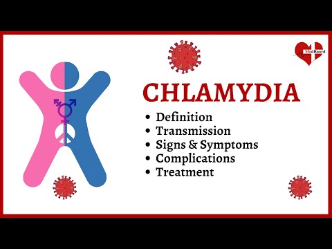 Chlamydia Trachomatis: What is it, Symptoms, Causes, Treatment, and Prevention