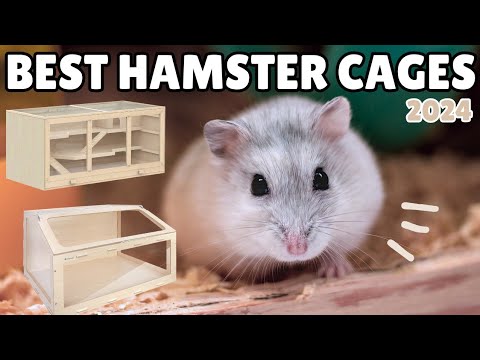 Top 5 BEST Hamster Cages 2024 🐹🌟