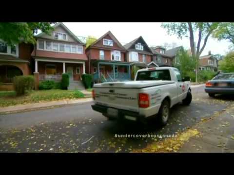 Undercover Boss - Orkin Canada S3 E2 (Canadian TV series)