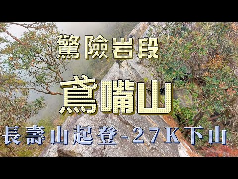 【長壽鳶嘴山】下山篇-鳶嘴山西陵線縱走，攻頂後逆向回27K登山口，逆向一樣危岩聳壁比往北朝27.3K路線更難走更具挑戰~鳶嘴山西陵線。