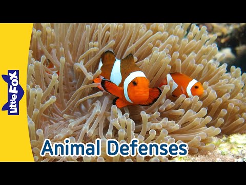 Amazing Animal Defenses: How Walruses, Turtles, Frogs & More Protect Themselves! | Little Fox