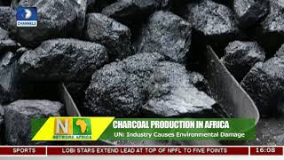 Analysing Environmental Damage Of Charcoal Production |Network Africa|