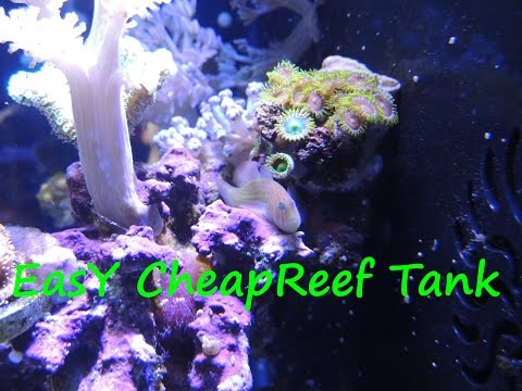 Easy Inexpensive Reef Tank PT1 Equipment