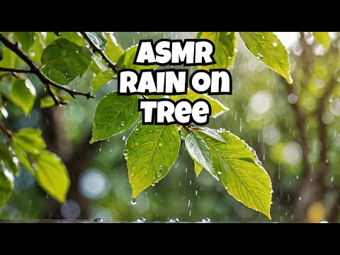 Rain on Leaves ASMR: The Surprising Way to Melt Stress Away!