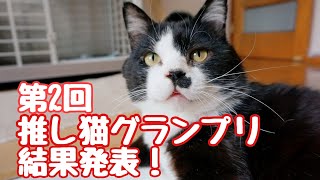 第2回#推し猫グランプリ結果発表！