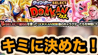 俺のセレクト石を10周年超極限に賭ける！交換キャラは君に決めた‼︎【ドッカンバトル】【Dragon Ball Z Dokkan Battle】