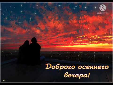 Добрый вечер! 🌃🌃🌃 Шикарного настроения! 🥰🥰🥰