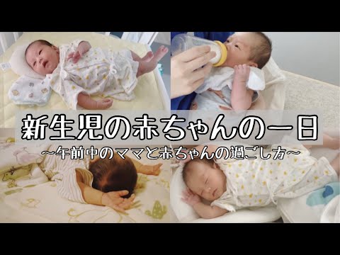 新生児の赤ちゃんとママのとある一日