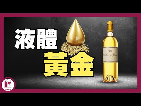 【神之水滴】第十二門徒Chateau d'Yquem | 比 Lafite 高級，卻更便宜的 - 波爾多唯一超一級莊 |  （粵語中字）【酒瓶故事】