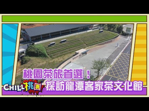 【CHILL桃園精選】桃園茶旅首選！ 探訪龍潭客家茶文化館｜桃園市客家事務局局長 范姜泰基