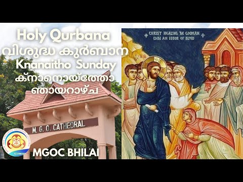 MGOC Bhilai | Holy Qurbana | 12th Mar 2023 | ക്നാനൊയ്തോ ഞായർ | Knanaitho (Canaanite Woman) Sunday |