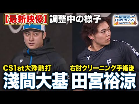 【調整中】CS劇的サヨナラ打・淺間大基＆右肘クリーニング手術・田宮裕涼 ランニングの様子＜11/10ファイターズ秋季キャンプ2024＞