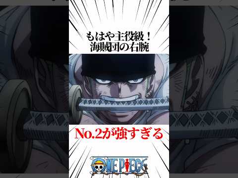 【ワンピース】もはや主役級！海賊団の右腕であるNo２が強すぎる #shorts #onepiece