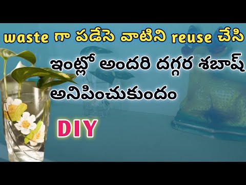 eveningroutine / tilapia fishfry #homedecor  #moneyplant how to reuse broken glass #varalakshmipooja