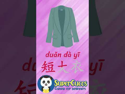 学中文- 短大衣 | Learn Chinese - SUIT JACKET | Aprender Chino - CHAQUETA DE TRAJE #Shorts